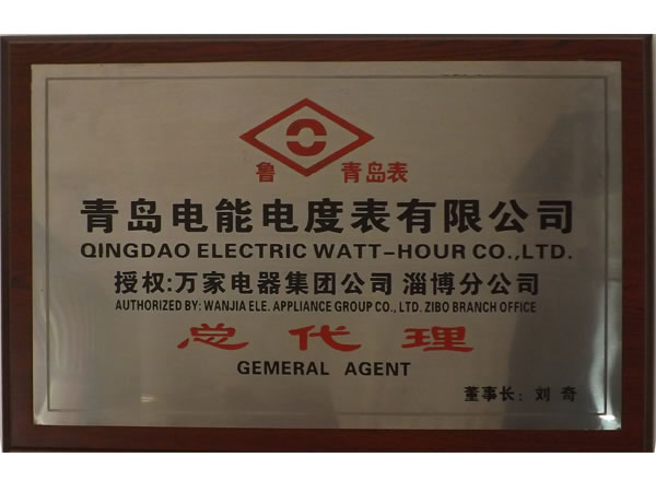 青島電能電度表有限公司