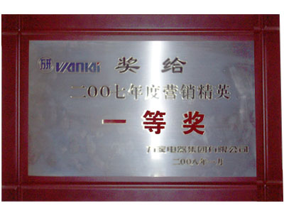 07年度營(yíng)銷(xiāo)精英一等獎(jiǎng)